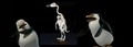 Scared of Skeletons - penguins-of-madagascar fan art