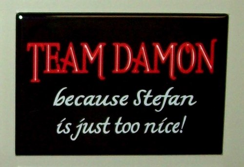 Team Damon Sign