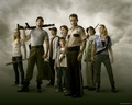 The Walking Dead Cast - the-walking-dead photo