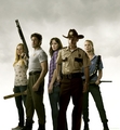 The Walking Dead Cast - the-walking-dead photo