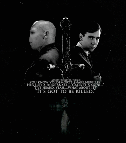  Voldemort and Neville