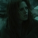 Welcome to the Rileys - twilight-series icon