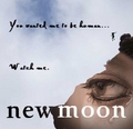 new moon poster by kissthespider26 - twilight-series fan art