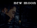new moon poster by kissthespider26 - twilight-series fan art