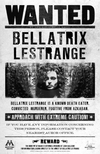  Bellatrix Lestrange aka BEST MOVIE CHATACTER EVER!