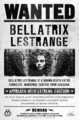 Bellatrix Lestrange aka BEST MOVIE CHATACTER EVER! - harry-potter photo