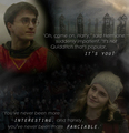 DH harry and hermione  - harry-and-hermione fan art