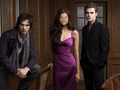 Damon, Me & Stefan - the-vampire-diaries fan art