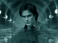 Damon  - the-vampire-diaries photo