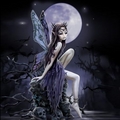 Midnight Fairy - fairies photo