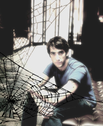  거미 webs.