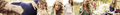Taylor Swift banner - taylor-swift fan art