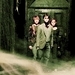 The Trio <3 - harry-ron-and-hermione icon