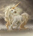 Unicorns - fantasy photo