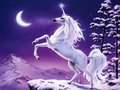 Unicorns - fantasy photo