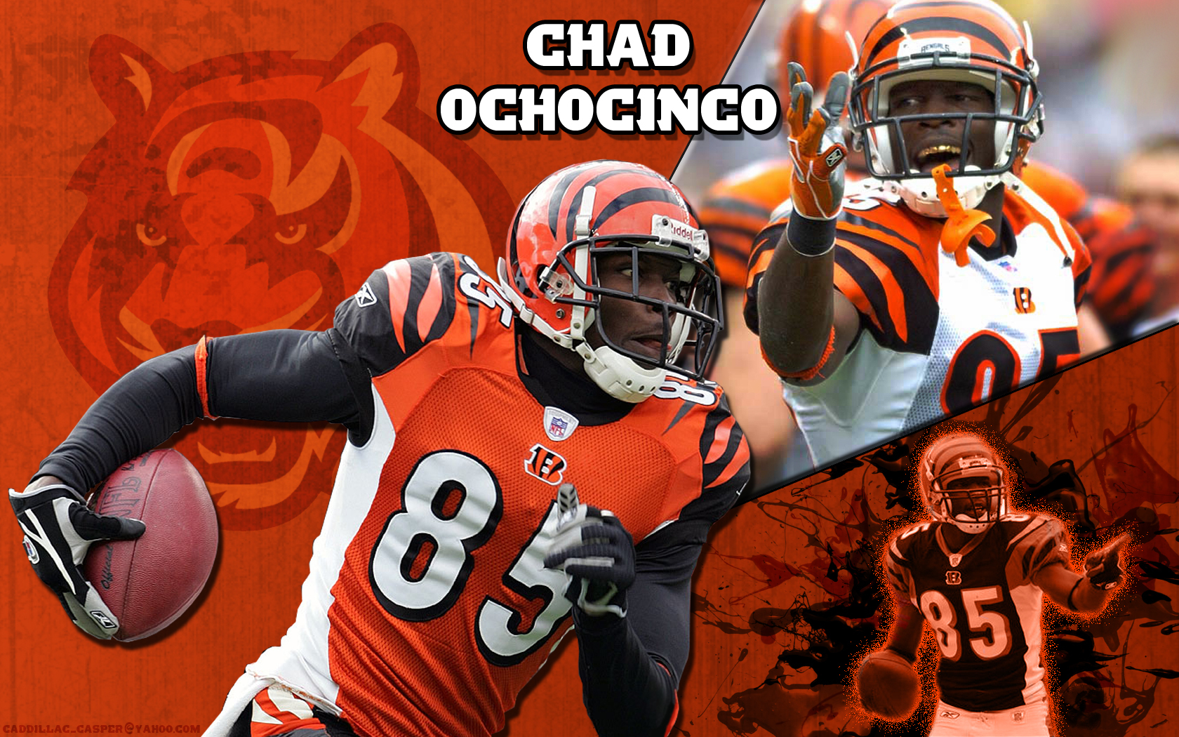 Wallpaper of chad ochocinco for fans of Chad Ochocinco. chad ochocinco.