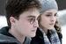 harry and hermione in 6th year - harry-potter-movies icon