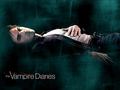 Damon Salvatore - the-vampire-diaries wallpaper