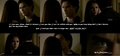 Damon loves Elena  - the-vampire-diaries photo