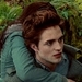 Edward//Bella - twilight-series icon