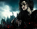 FRENCH DH Wallpaper - harry-potter photo
