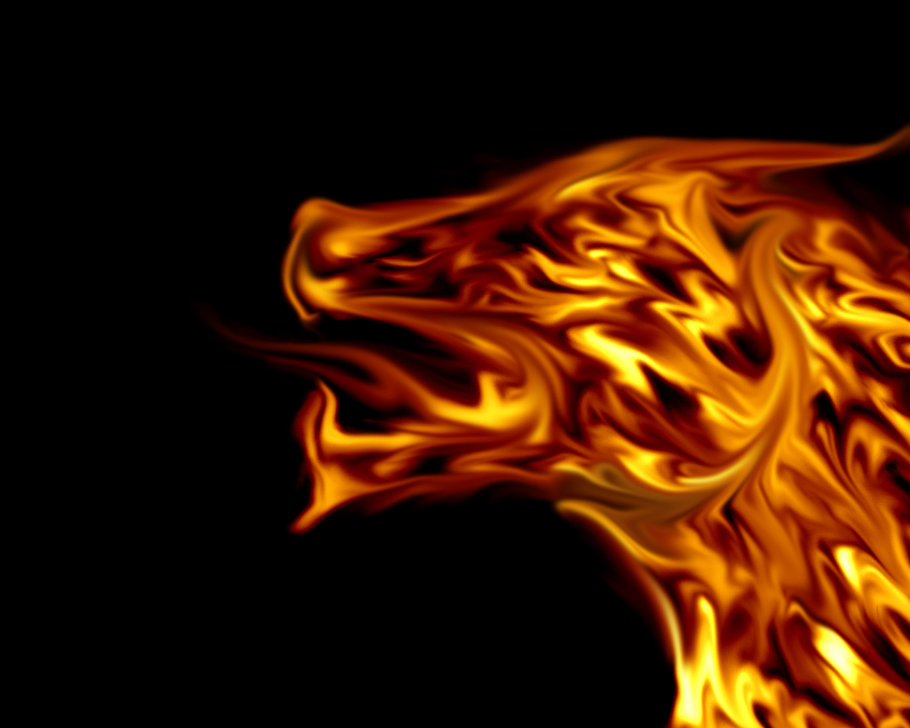 funkyrach01 Fire Dragon
