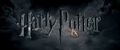 Harry Potter and the Deathly Hallows Part 1: Spike TV Trailer (HD) - harry-potter screencap