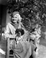 Jean Harlow - classic-movies photo