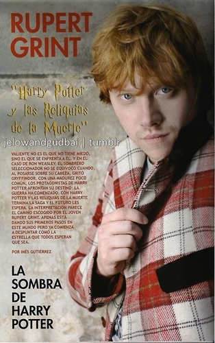  Rupert - Interfilms Magzine
