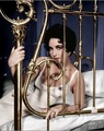 The Cat on a Hot Tin Roof - classic-movies photo