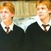 Weasley twins - harry-potter icon