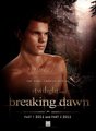 breaking dawn - twilight-series photo