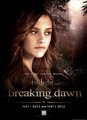 breaking dawn - twilight-series photo