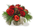 Christmas Roses - roses photo