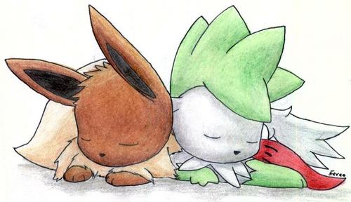 eevee-images-eevee-and-shaymin-sky-form-hd-wallpaper-and-background
