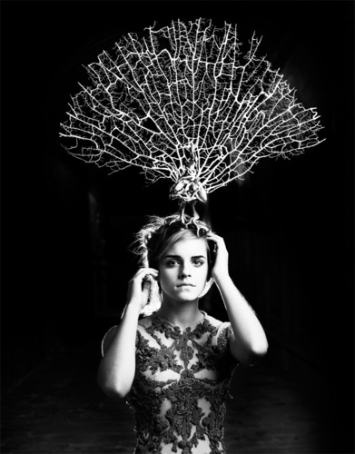  Emma Watson - Photoshoot #041: Harper's Bazaar (2008)