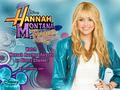 hannah-montana - Hannah Montana Forever EXCLUSIVE DISNEY Wallpapers created by dj !!! wallpaper