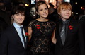 Harry Potter and the Deathly Hallows: Part I world premiere. - harry-potter photo