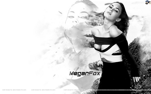  Megan zorro, fox fondo de pantalla