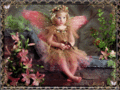 Pink Fairy,Animated - fairies photo