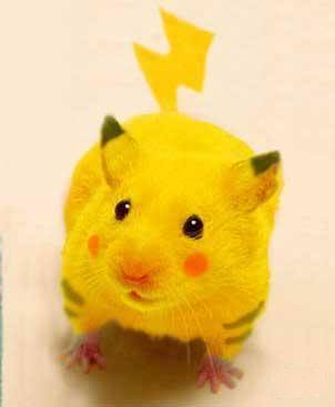  Real Pikachu