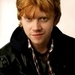 Rupert - harry-potter icon