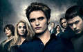 The Cullen's - the-cullens photo