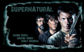 supernatural - supernatural wallpaper
