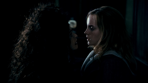 Bellatrix and Hermione 