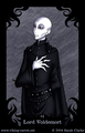 Death Eater Profiles: Voldemort - harry-potter photo