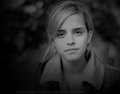 Emma Watson - Photoshoot #046: Philipe Salaün (2008) - anichu90 photo