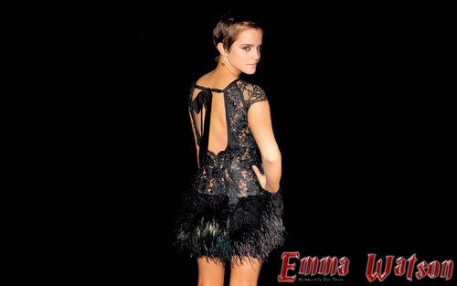  Emma Watson Premiere fondo de pantalla