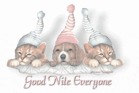 Good night :) - Babies Pets and Animals Fan Art (16996110) - Fanpop