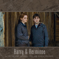 Harmony Fan Art - harry-and-hermione fan art